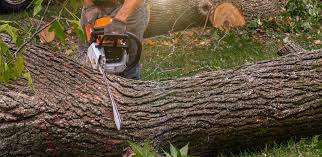 Mulching Services in Maxwell, CA